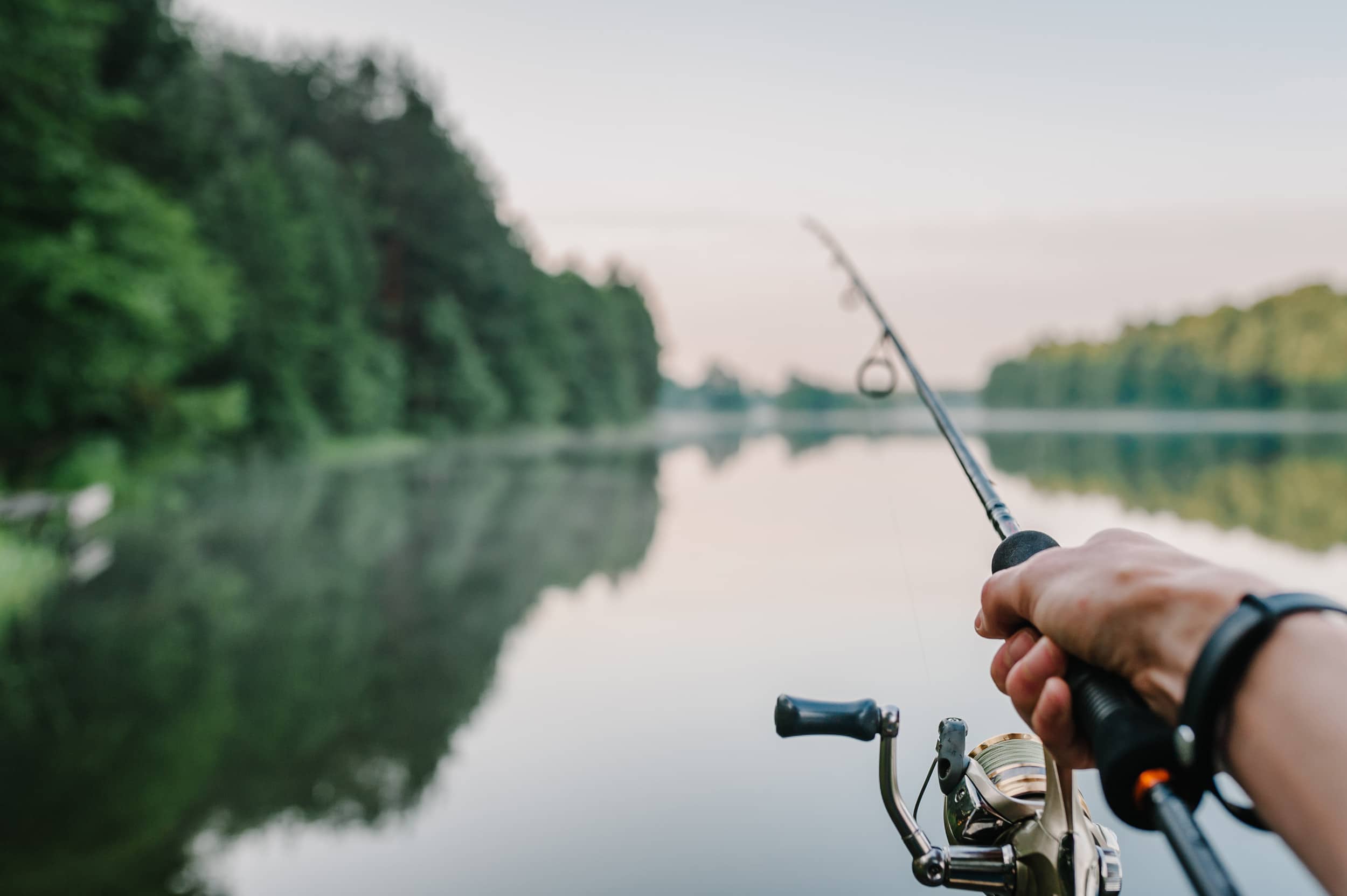 national-fishing-day-does-not-mean-phishing-day